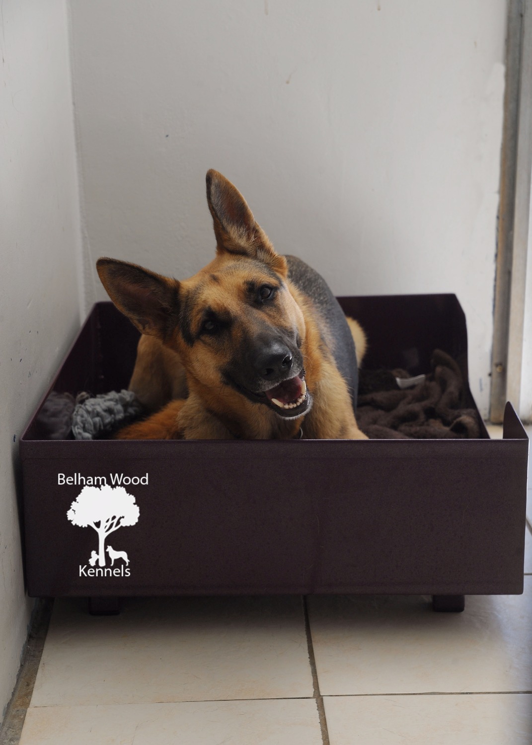 Boarding Kennels Peterborough