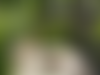 Ứng dụng 09: Reiki và động vật.