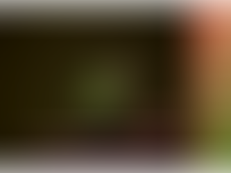 ❡ Chào đón Năm mới cùng Reiki & Nghệ thuật Gọt tỉa Hoa thủy tiên tại Lũa Decor ❡