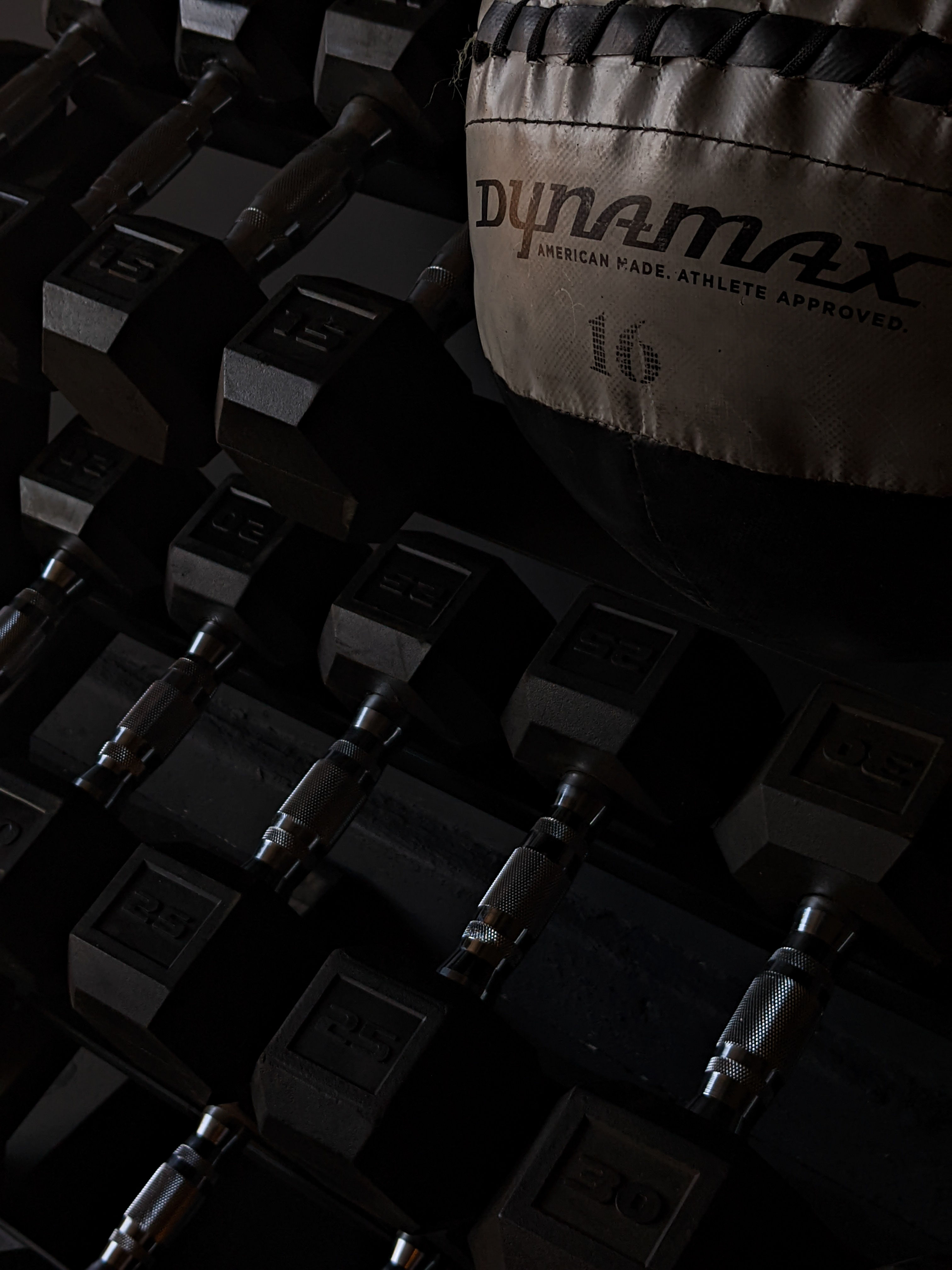 4 Week Beginner Bootcamp - Dumbbell Only