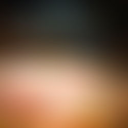 Appetito | Trendy Place + Diverse Wine Menu