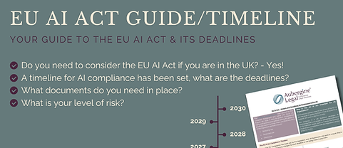 EU AI ACT Guide & Timeline.png