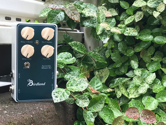 Birdland Acoustic Mixer R2