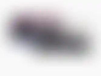 1/43 | Alpine A524 P. Gasly con pilota e teca