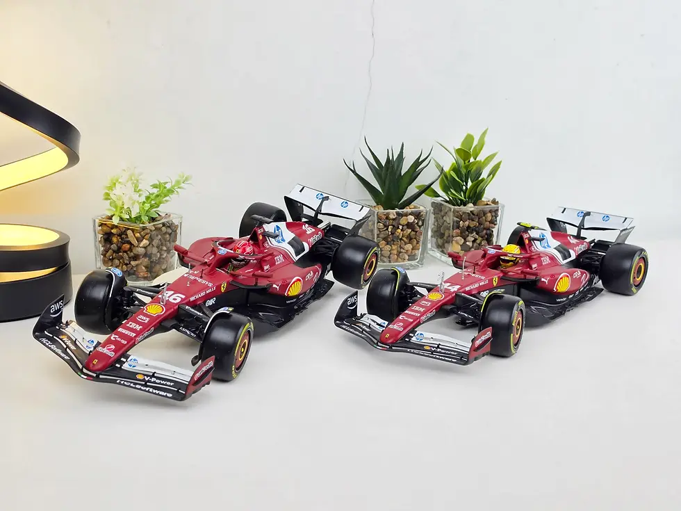 Main SF-25.webp