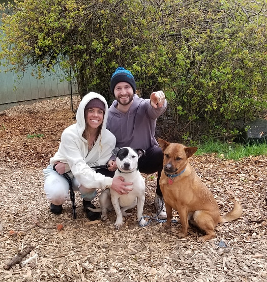 Goofy_adoption.jpg