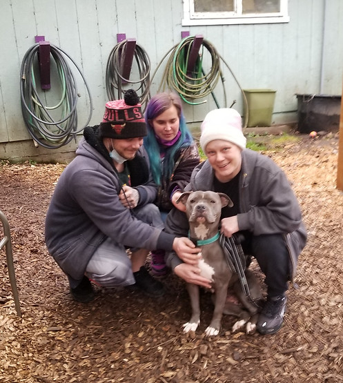 Bootsie_adoption.jpg
