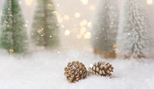 Untitled design-63.png