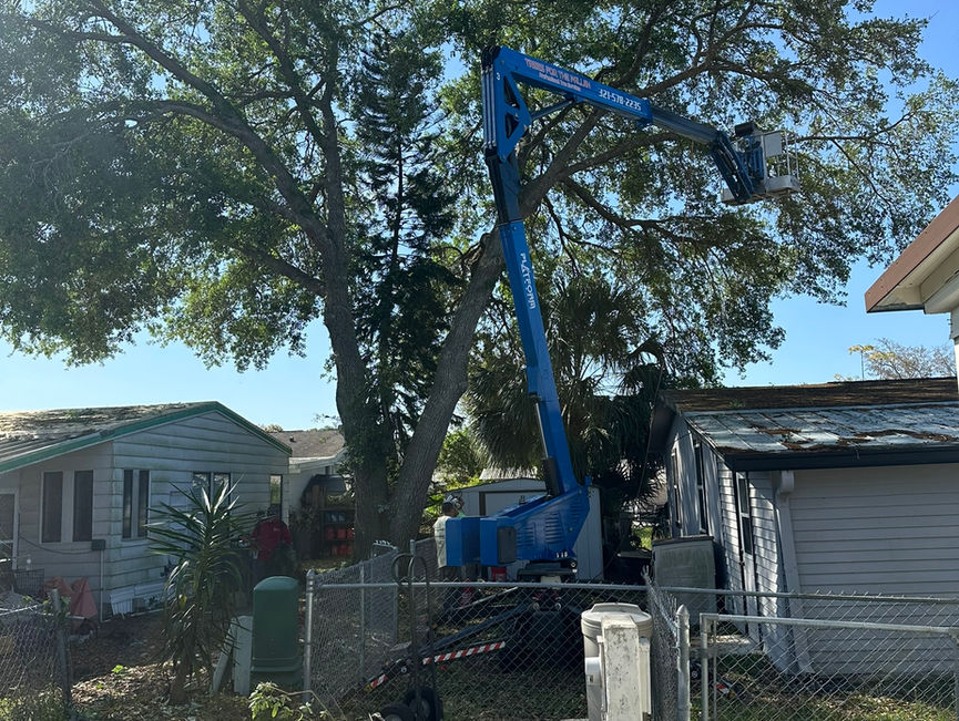 A blue boom lift working over a chain-link fence in a live oak, with a brush pile and a chainsaw on the driveway in Port Orange, Florida.