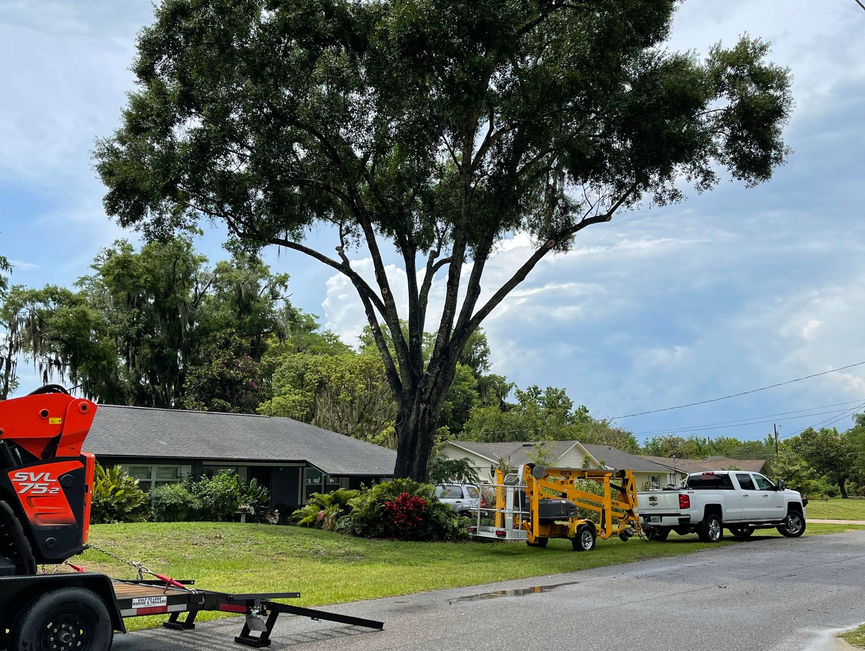 An orange boom lift and a trailer parked on the street beside a large oak.