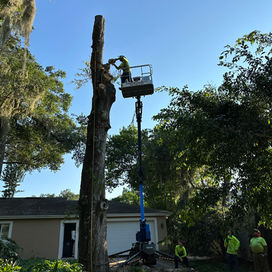 A blue lift basket up in a tall trunk, with crew members on the ground in front of a house.