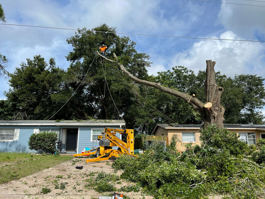 A yellow crane and lift removing a broken tree, with limbs and debris covering the yard in Edgewater, Florida.