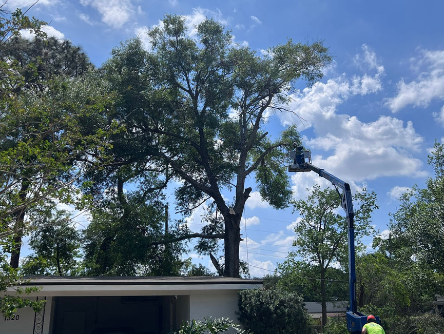 A blue boom lift parked in a driveway beside a garage, under large oaks in New Smyrna Beach, Florida.