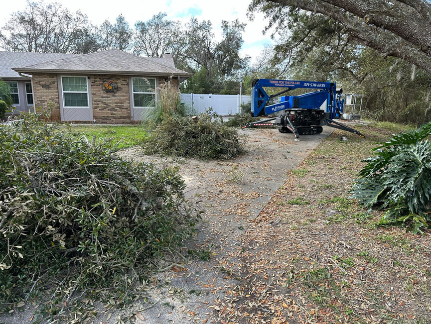 A pile of cut brush on a sandy path, with a blue lift and a house behind it in Edgewater, Florida.