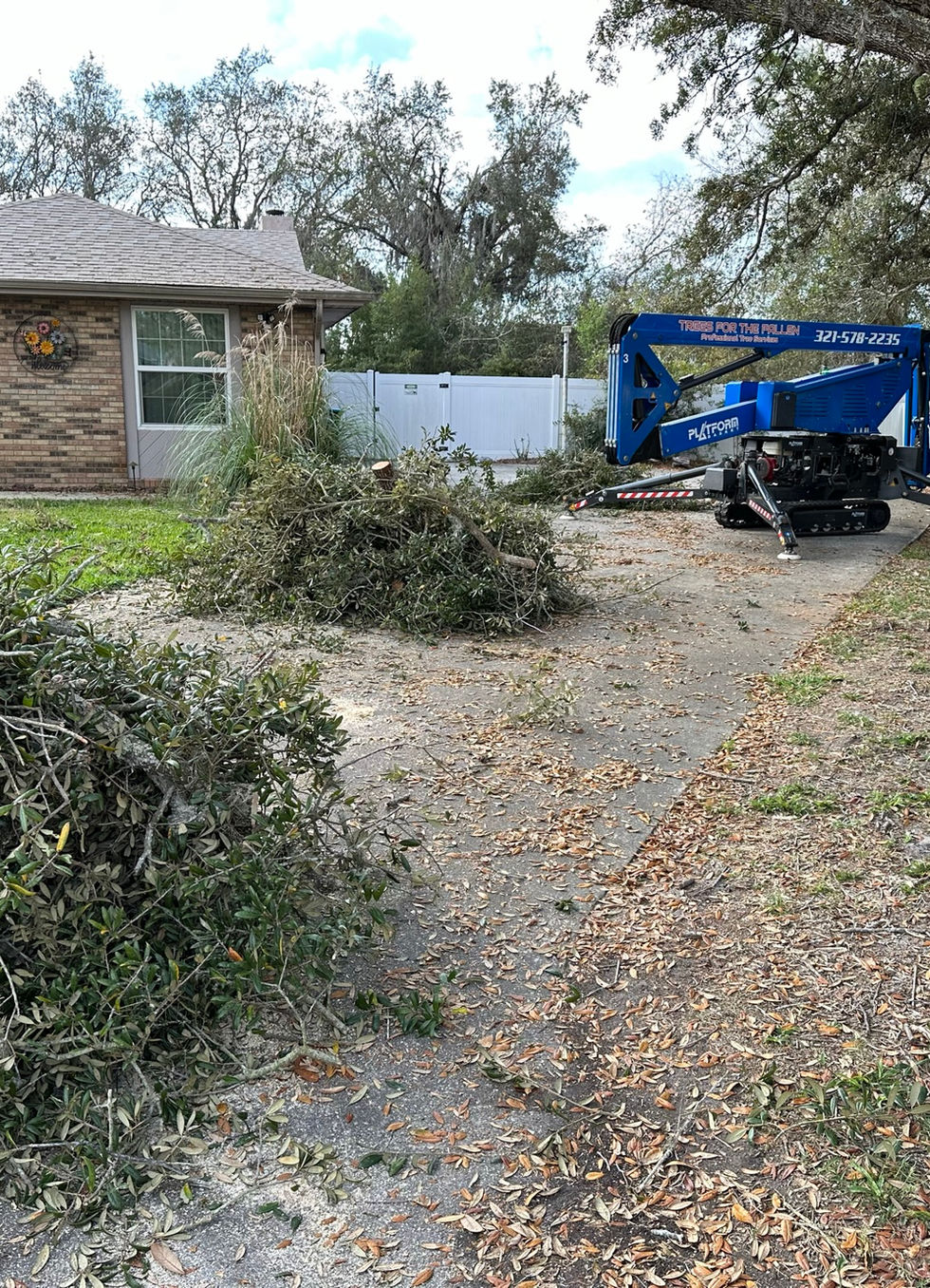 A pile of cut brush on a sandy path, with a blue lift and a house behind it.