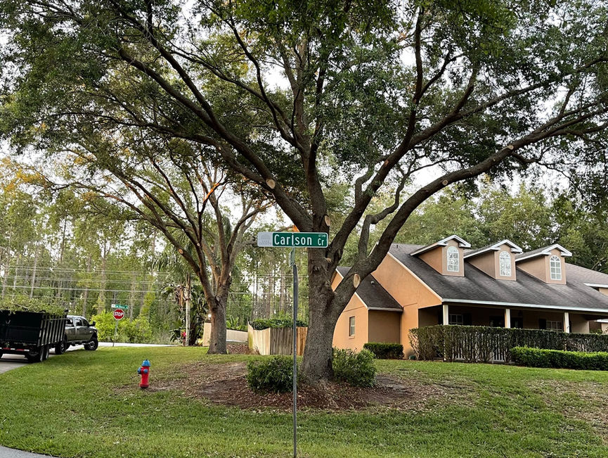 A large spreading oak over a corner lot, with houses, a stop sign, and a sidewalk in Port Orange, Florida.
