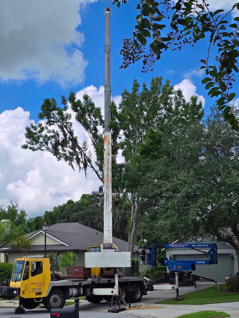 Crane and lift removing a tree on a tight Central Florida residential lot