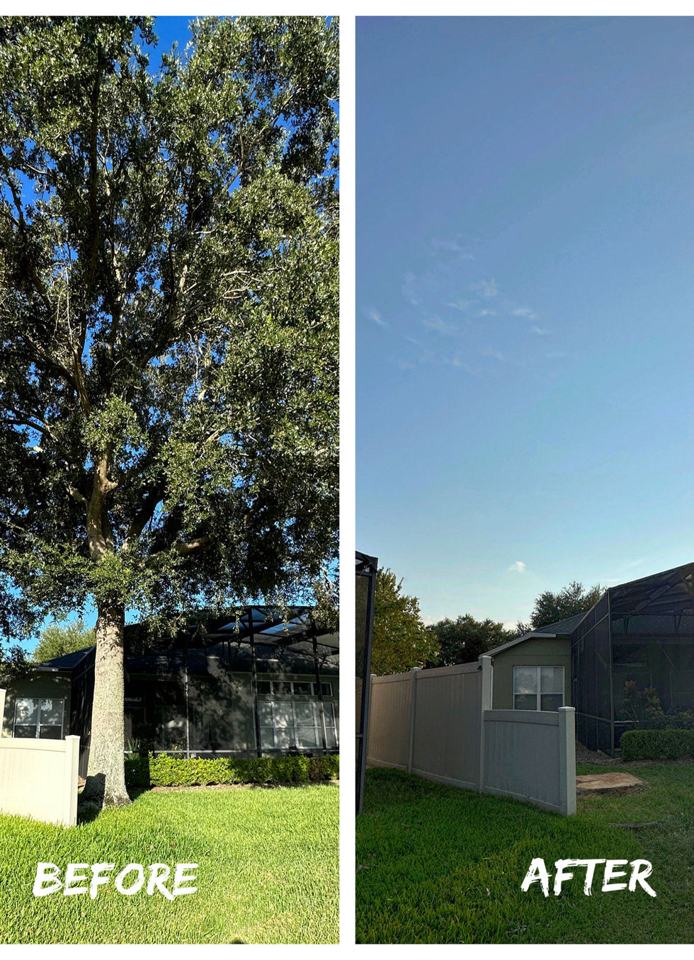 A before-and-after pair showing a side yard full of trees and the same yard opened up to the fence.