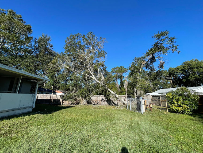 A large oak snapped and leaning in a backyard between a carport and a house, with wood and chain-link fences around the yard in Edgewater, Florida.