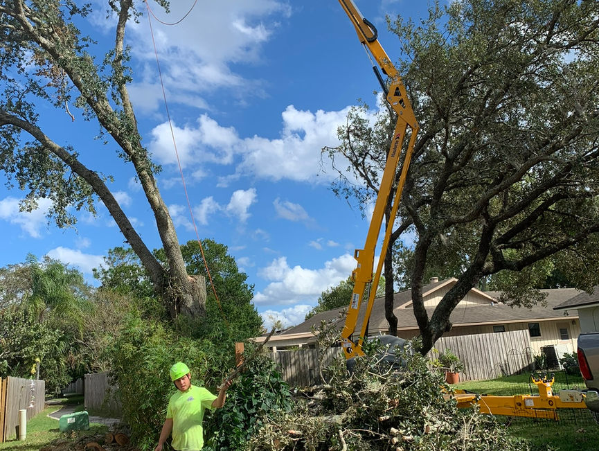 A yellow crane and two crew members beside a large pile of limbs and brush.