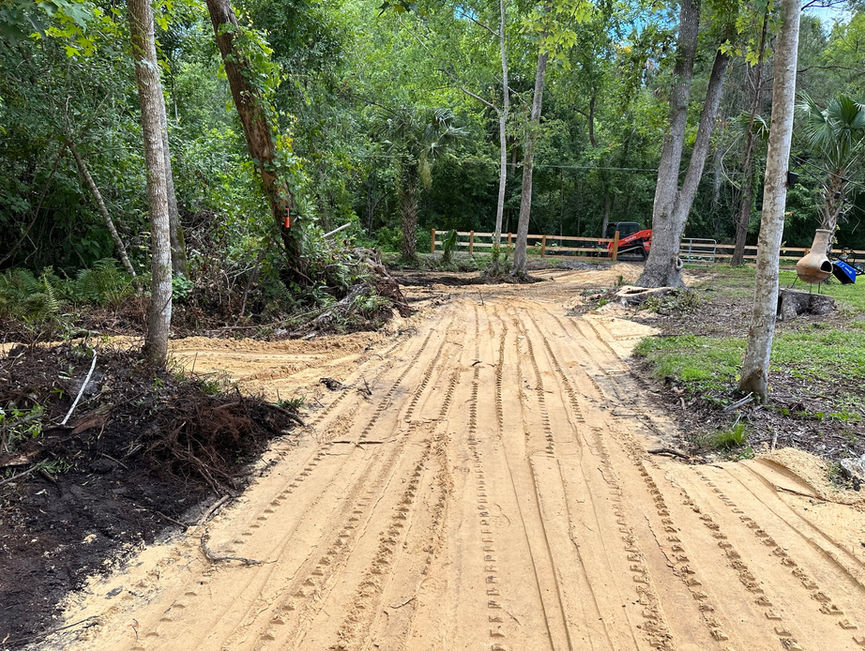 A sandy drive cleared through the woods, with stumps and brush piles along the sides in Edgewater, Florida.