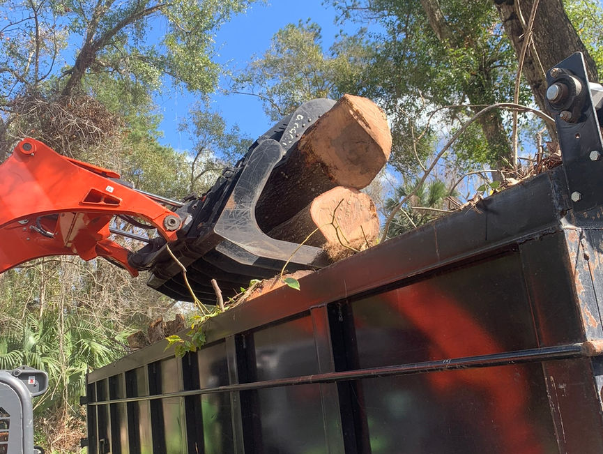 A red grapple holding a cut log above the side of a black dump body in New Smyrna Beach, Florida.