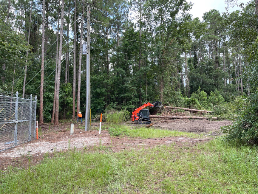A red machine clearing brush in a grassy wooded lot with pines and power lines in Edgewater, Florida.