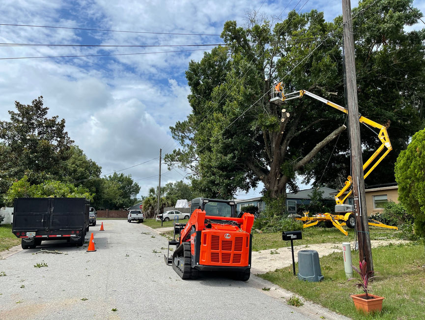 An orange skid steer and yellow lifts working along a residential street under power lines.