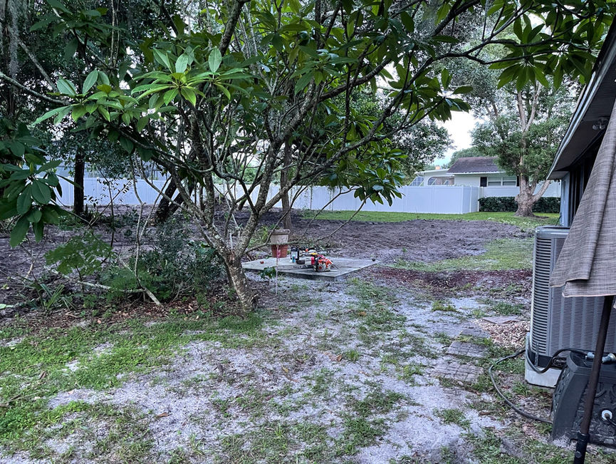 Muddy, rutted ground under remaining trees after the brush was cleared in Edgewater, Florida.