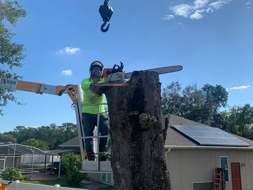 A crew member in a lift basket holding a trunk section, with the crane hook overhead and a house behind in Port Orange, Florida.