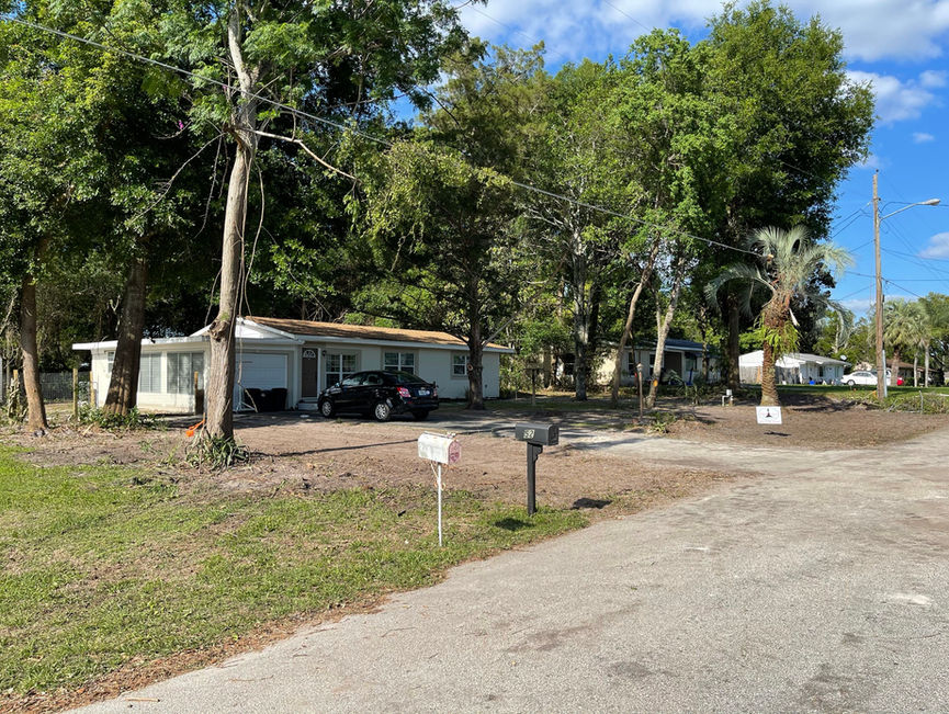 Slim trunks left along a sandy driveway in front of a small house in Edgewater, Florida.