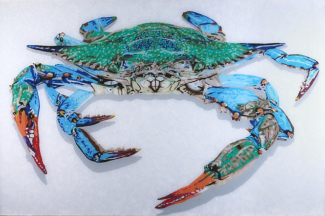 Blue Crab 2