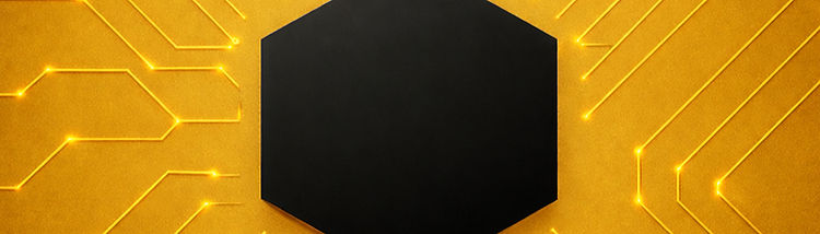 header black gold_edited.jpg
