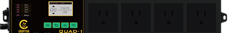 QUAD-1_Wix.png