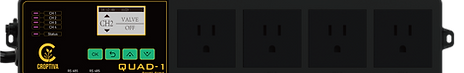 QUAD-1_Wix.png