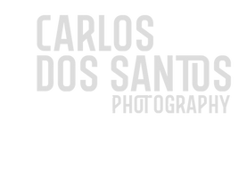 Carlos dos Santos.png