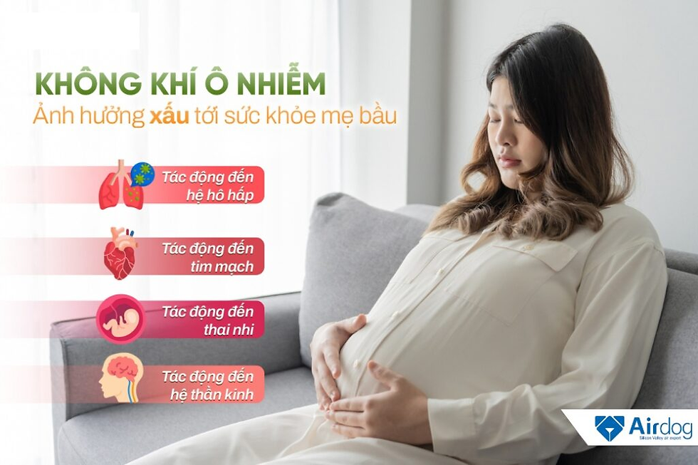 Công dụng máy lọc không khí với mẹ bầu