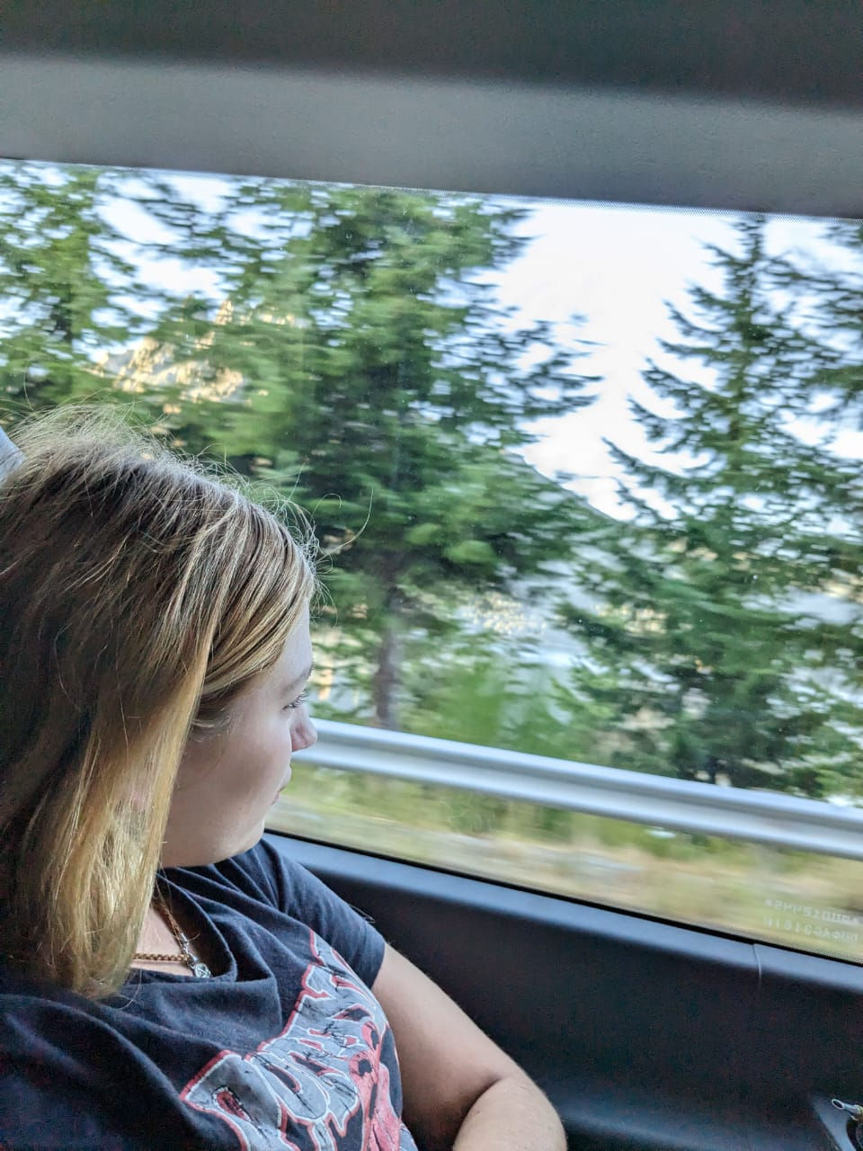 Miniatura: Tour de compras a Chile