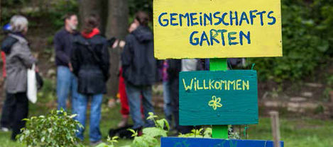 Wo bisher gerader, harter und toter Beton dominiert, sollen essbare Pflanzen, eine lebendige Pergola, Hochbeete und eine bestrickte Regenrinne der Natur eine Chance und den Menschen ein kollektives Miteinander, Nahrung und Entspannung geben. MitarbeiterInnen, KursteilnehmerInnen, BesucherInnen und NachbarInnen sind eingeladen, gemeinsam eine grüne Oase zu planen, einzurichten, zu bepflanzen, zu hegen und zu genießen.

Bild: Polylog