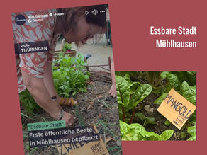 Essbare Stadt Mühlhausen - Die ganze Stadt ein Garten