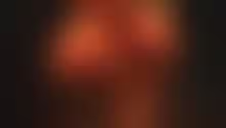 Carta a mi rosa.
