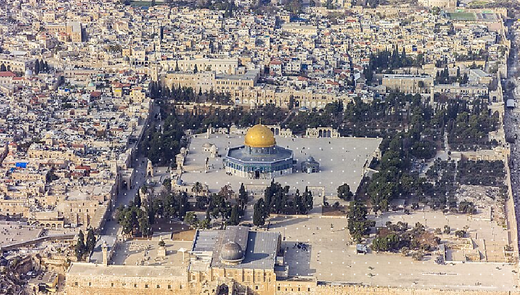 DIVERSIDAD Y APARTHEID