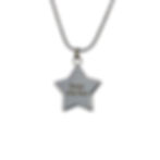 Thumbnail: The Brave Cremation Opal Star Necklace Backside
