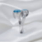 Cremation Dual  8x6mm Oval Ring .960 Silver