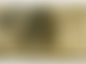 Friends at the beach