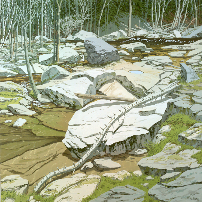 Neil Welliver. 1980.87_00.tif