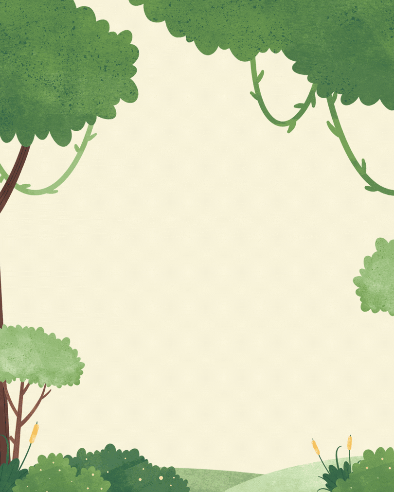 Wild Wonders camp gif.gif