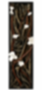 wisdom tree.png