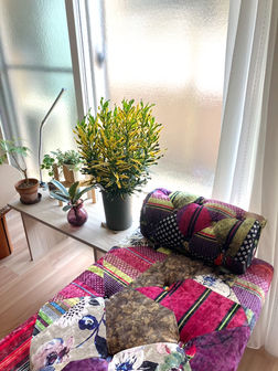 お客様の希望を叶えるだけじゃない「提案力」が強みのリフォーム