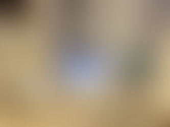 北摂 リフォーム ペット